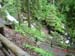 Triberg 078