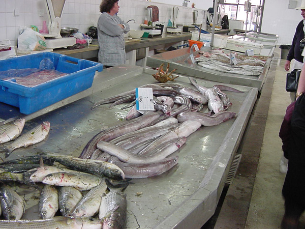 03224- Unspoilt Algarve - Fish Market in Olhao