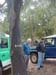 01914-Jeep Safari - Cork Tree