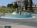03128-The Dolphins
