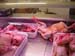 03219- Unspoilt Algarve -  Meat Market in Olhao