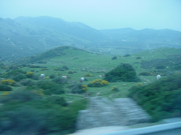 02450-Spain