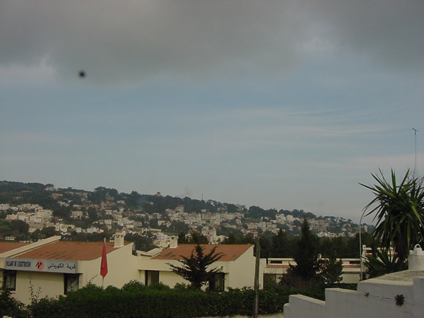 02479-Tangiers