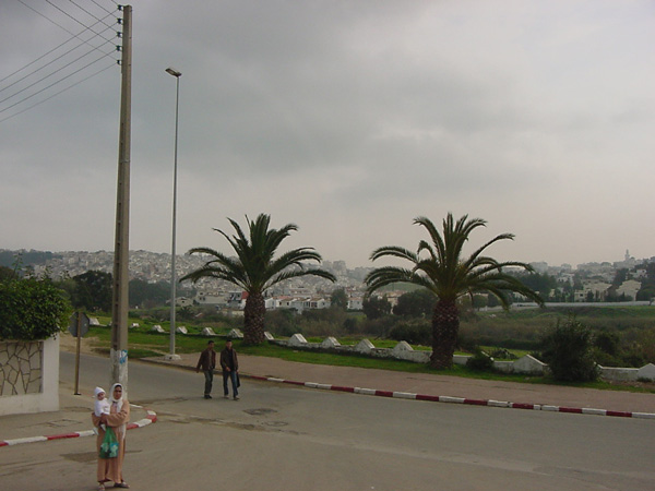 02480-Tangiers