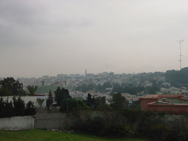 02481-Tangiers