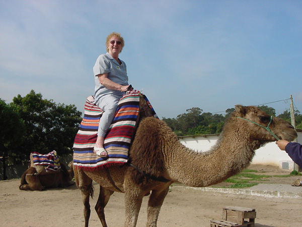 02482-Tangiers Dolores on a Camel