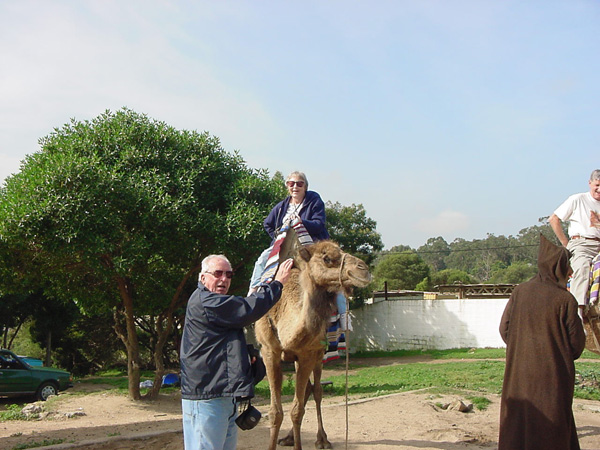 02487-Tangiers Eleanor on a Camel lead by John