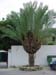 02440-Spain